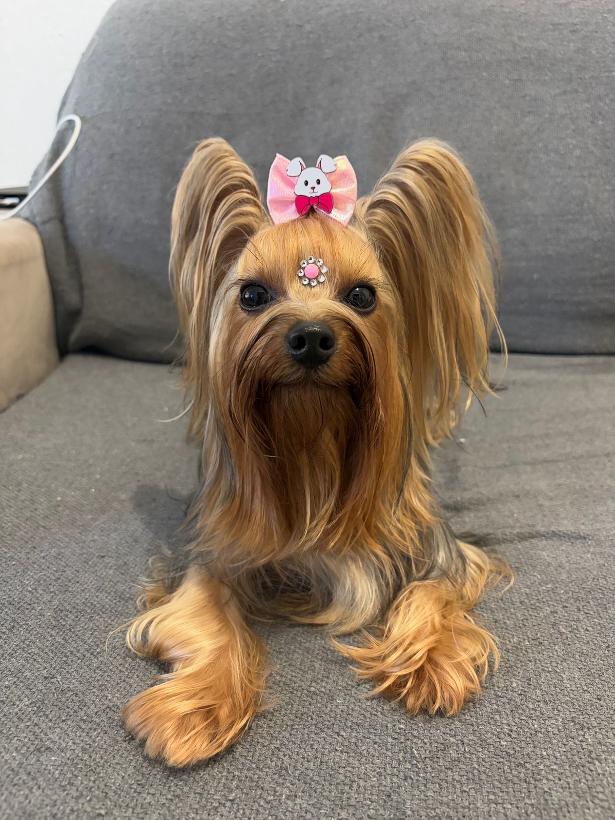 Mascote Olivia